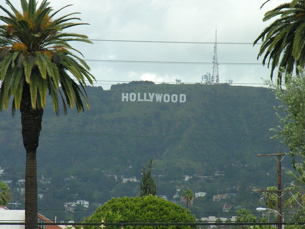 The Hollywood sign on a hillside with palm trees and power lines in the foreground.