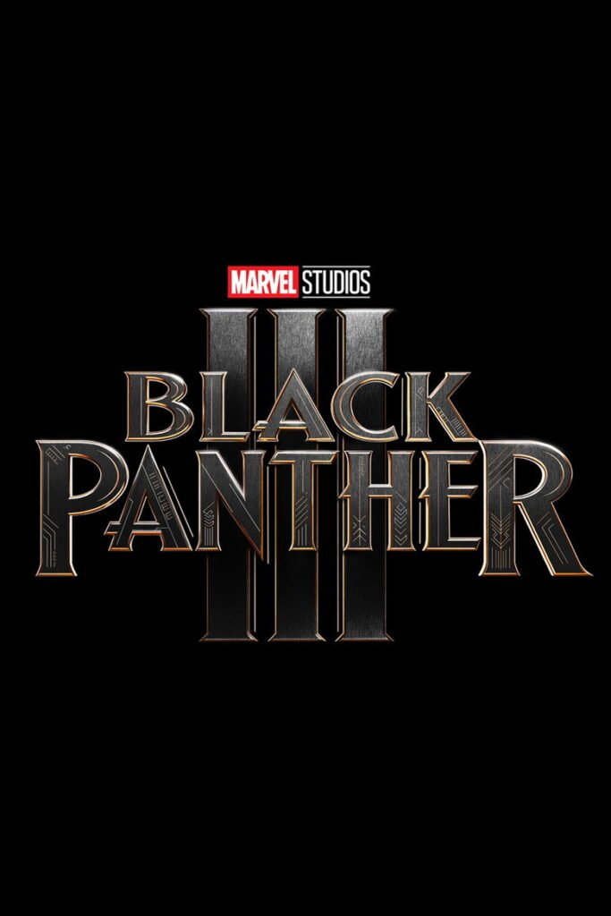 Black Panther 3 poster