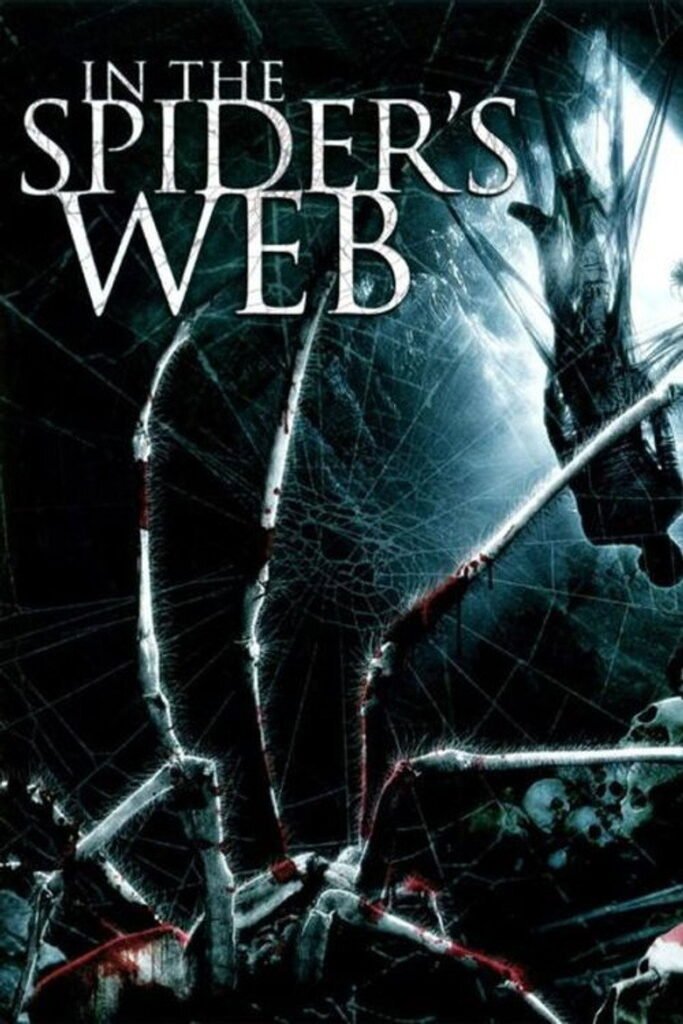In the Spider’s Web poster